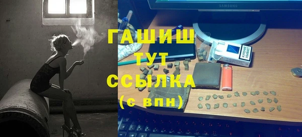 гашик Карпинск