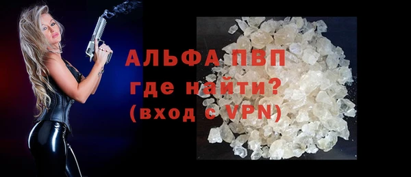 гашик Карпинск