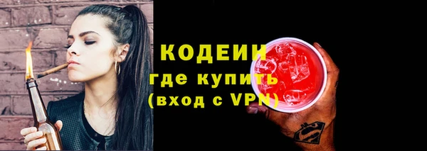 гашик Карпинск