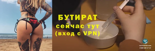 гашик Карпинск