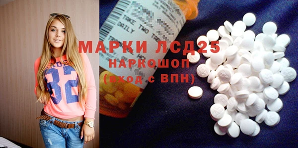 гашик Карпинск