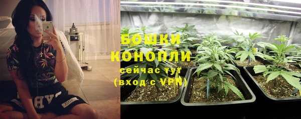 гашик Карпинск