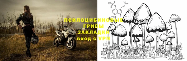 МДПВ Касимов
