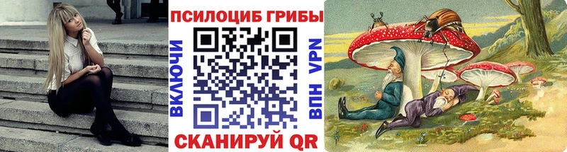 Купить закладки  Плавск  Галлюциногенные грибы ЛСД 